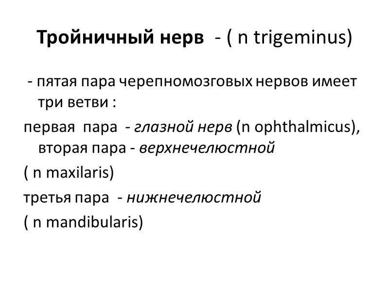 Тройничный нерв  - ( n trigeminus)  - пятая пара черепномозговых нервов имеет